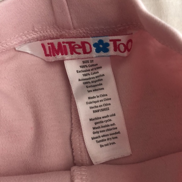 Limited Too dress with lined tulle skirt size 2T - Picture 4 of 8